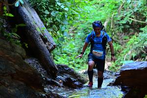 BIB: 6069
                            <button type="button" onclick="openModal(13235722)" class="btn btn-primary btn-sm float-right btn-popup" data-toggle="modal" data-target=".modal-high-quality">
                        <i class="fas fa-shopping-cart"></i> Add to Cart
                    </button>
                                            <button type="button" onclick="isThisMe(13235722, true)" class="btn btn-success btn-sm float-right btn-popup btn-isme hidden" data-toggle="tooltip" data-placement="bottom" title="นี่คือรูปของคุณใช่ไหม คลิกที่นี่เพื่อเอาเข้าอัลบั้ม">
                        <i class="fas fa-plus"></i> Add to album
                    </button>
                    <button type="button" onclick="isThisMe(13235722, false)" class="btn btn-warning btn-sm float-right btn-popup btn-isnotme hidden">
                        <i class="fas fa-ban"></i> Remove from album
                    </button>